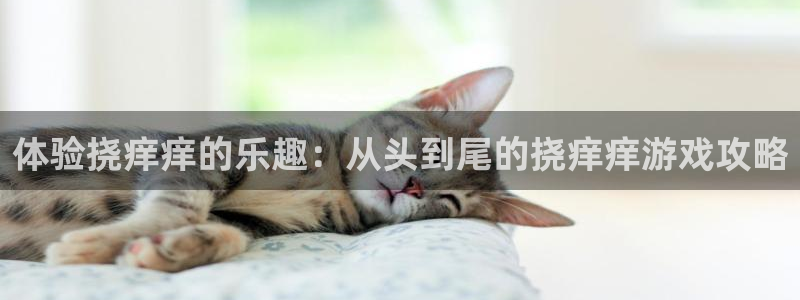 多宝电竞平台官方网站入口手机版