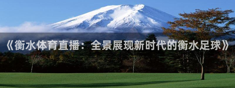 360直播免费观看球赛最新消息：《衡水体育直播：全景展现新时代的衡水足球》