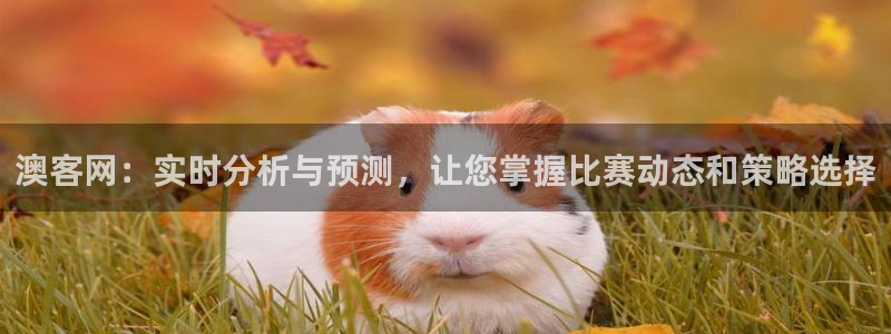 足球直播360直播：澳客网：实时分析与预测，让您掌握比赛动态和策略选择