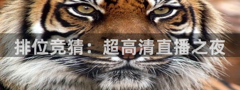 360直播无插件高清直播体育直播：排位竞猜：超高清直播之夜