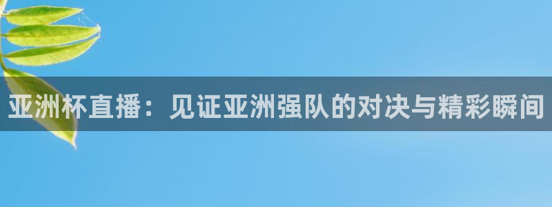 360体育直播无插件高清绿色直播：亚洲杯直播：见证亚洲强队的对决与精彩瞬间